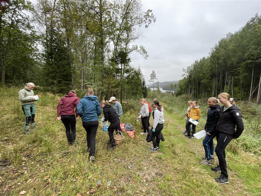 BUA og HEA i skogen på sopplukking.foto - Klikk for stort bilde