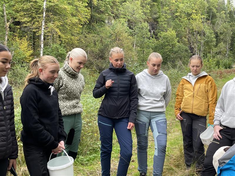 Elever på BUA og HEA samlet for å studere og diskutere rundt soppen de har plukket.foto - Klikk for stort bilde
